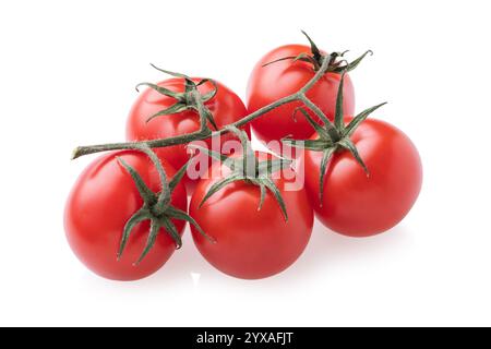 Branch of ripe cherry tomatoes isolated on white background Stock Photo