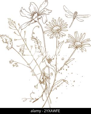Field, meadow, wild flowers and herbs chamomile, cosmos, buttercups with a dragonfly. Line art is a simple hand-drawn illustration in beige, ochre Stock Vector