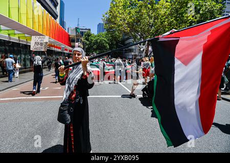 Melbourne, Australia. 15th Dec, 2024. A protester holds a flag of Palestine during the rally. Protesters wave Palestinian flags and hold banners calling for an end to genocide and Zionist aggression, chanting in solidarity for Palestinian liberation and justice. (Photo by Ye Myo Khant/SOPA Images/Sipa USA) Credit: Sipa USA/Alamy Live News Stock Photo