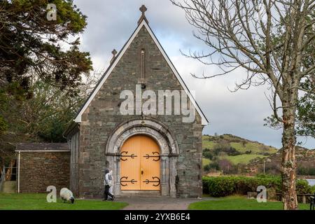 Sheep at  St. Finbarr's Oratory (Aireagal Naomh Fionnbarra), Gougane Barra, West Cork, Ireland. Stock Photo