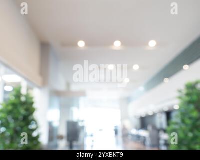 Abstract blurred modern office room, bright workspace background, white indoor interior hall decoration with light and bokeh, green tree. Blurry backg Stock Photo