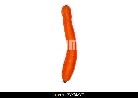 One Carrot Counting Exercise on White Background – Isolated Educational Image Stock Photo