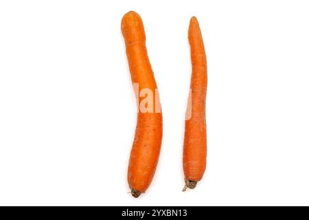 Two Carrots for Counting Exercise on White Background Stock Photo