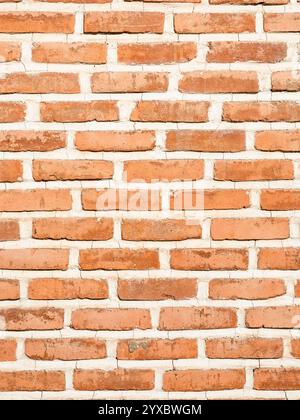 outdoor orange brick wall with clay seams on sunny day Stock Photo