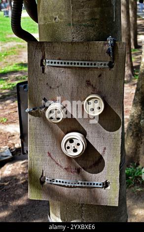 RIO DE JANEIRO, BRAZIL - December 13, 2024: Three porcelain sockets on wood Stock Photo