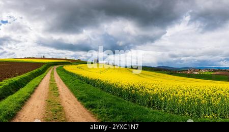 Panoramic view of a dirt footpath heading through rapeseed fields, heavy cloudy sky, medieval village in the background Stock Photo