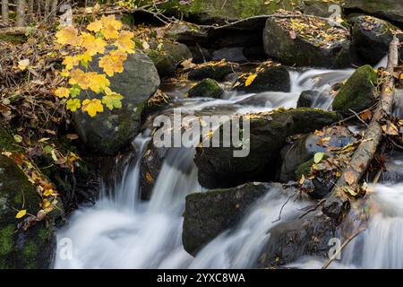 Small waterfall with autumn leaves colors and long exposure background Stock Photo