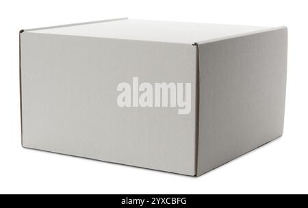 One closed cardboard box isolated on white. Mockup for design Stock ...