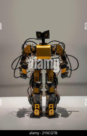 Japanese golden metal humanoid robot made of microprocessors and cables with advanced recognition functionalities and integrated autonomous system. Stock Photo