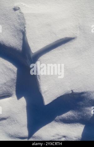 Close-up of fresh snowy shapes and land in the winter, viewed from above on a sunny day. Abstract full frame textured background, copy space. Top view Stock Photo