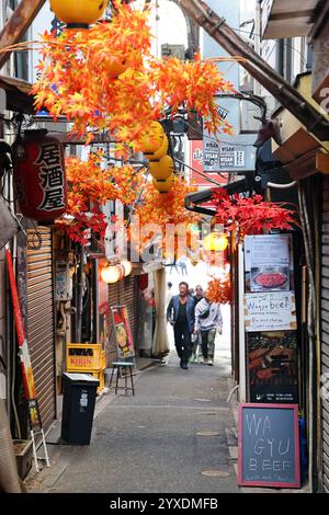 Omoide Yokocho or Memory Lane alleyway of bars and restaurants in Shinjuku, Tokyo, Japan Stock Photo