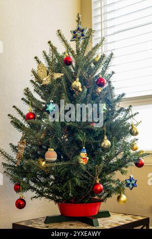 Decorated Christmas tree in front of the window Stock Photo