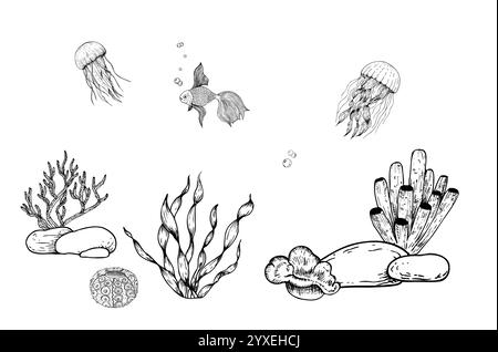 Undersea Rocks Line Drawing Corals and Seabed stones on isolated background. Hand drawn vector ...
