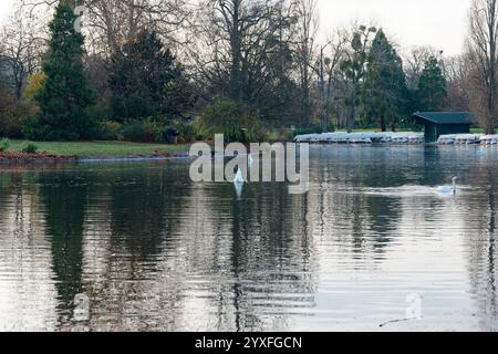 Reflections on the tranquil waters of Bois de Vincennes park in Paris during a peaceful afternoon Stock Photo