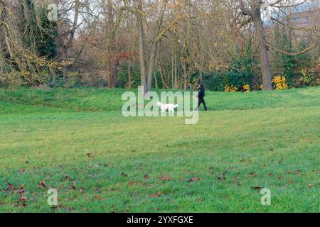Dog owner enjoys a leisurely walk in Bois de Vincennes during autumn in Paris Stock Photo