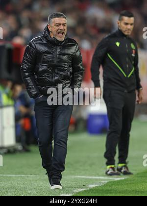 Sevilla, Spain. 14th Dec, 2024. Sevilla FC head coach Xavier Garcia Pimienta during the La Liga EA Sports match between Sevilla FC and Celta de Vigo played at Ramon Sanchez Pizjuan Stadium on December 14, 2024 in Sevilla, Spain. (Photo by Antonio Pozo/PRESSINPHOTO) Credit: PRESSINPHOTO SPORTS AGENCY/Alamy Live News Stock Photo