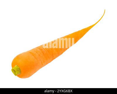 carrots one fresh, isolated on white background with clipping path Stock Photo