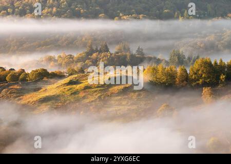 Autumn morning mist in the valley with golden sunlight seen from Loughrigg Fell in The Lake District, UK. Stock Photo