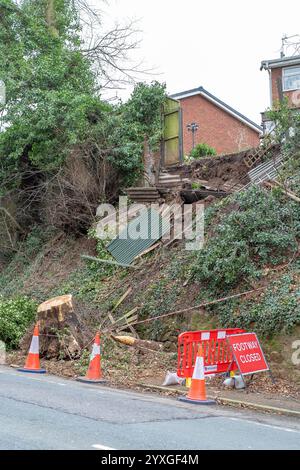 Debris from a fallen tree after Storm Darragh causing UK pavement to be closed to pedestrians. Stock Photo