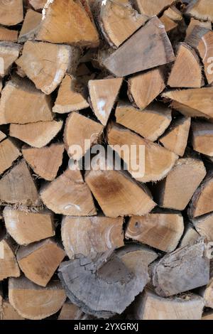 My neighbor's firewood pile all set up for winter wood-stove burning. Split and seasoned to heat their house for Winter Stock Photo