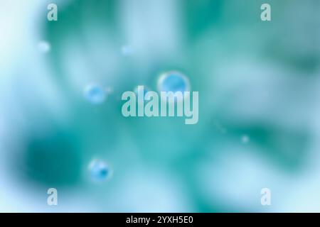 Soft abstract turquoise background featuring floating bubbles with blur effect. Vibrant turquoise gradient and airy texture make this ideal for design Stock Photo