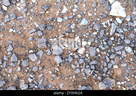 Old small stone floor texture and background. Close up exterior natural ground surface texture idea concept. Top view, above. Horizontal photo. Nobody. Stock Photo