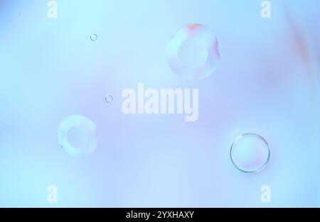 Minimalistic abstract background featuring clear water bubbles on a soft blue gradient. Clean design with airy, light reflections and copy space for t Stock Photo