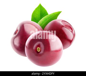 Three glossy cherry fruits  isolated on white background, no stems Stock Photo