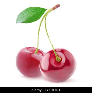 Two cherry fruits on connected stems with leaf isolated on white background Stock Photo