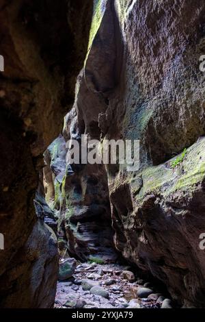 Warrumbah Gorge - Carnarvon Gorge Stock Photo