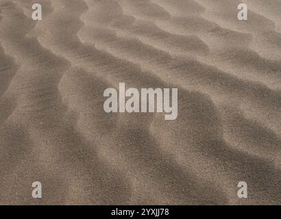 Ripples in a sand dune with dark colored sand, called black sand, in the Karakum Desert in Turkmenistan Stock Photo