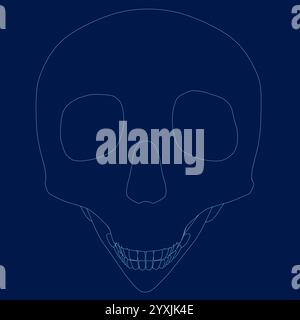 head skull contour drawn illustration vector Stock Vector