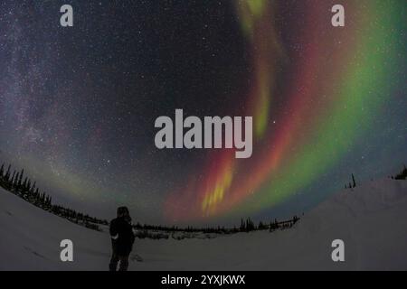 Observer watching an aurora borealis in Churchill, Manitoba, Canada. Stock Photo