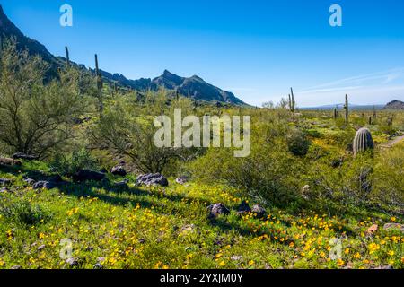 An overlooking view of Picacho Peak SP, Arizona Stock Photo