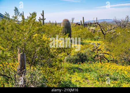 An overlooking view of Picacho Peak SP, Arizona Stock Photo