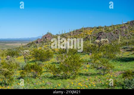 An overlooking view of Picacho Peak SP, Arizona Stock Photo