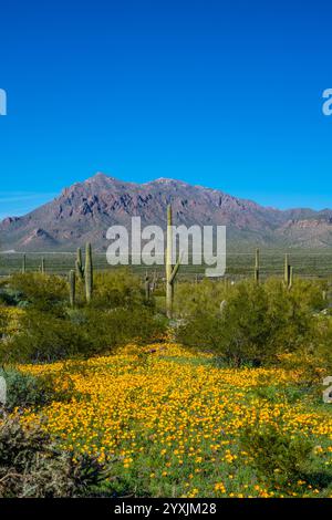An overlooking view of Picacho Peak SP, Arizona Stock Photo
