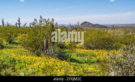 An overlooking view of Picacho Peak SP, Arizona Stock Photo