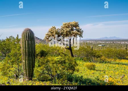 An overlooking view of Picacho Peak SP, Arizona Stock Photo