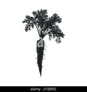 Vector Silhouette of a Carrot with Foliage Stock Vector