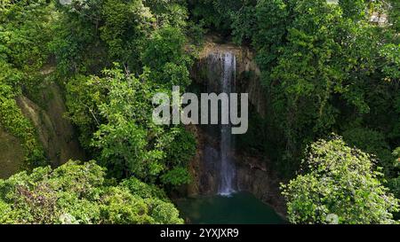 A breathtaking view of a tall waterfall cascading into a serene pool, surrounded by dense tropical forest. Perfect for themes of nature, tranquility, Stock Photo