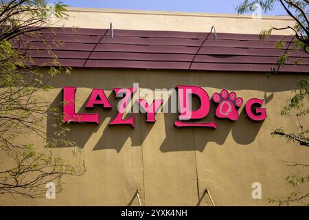 el restaurante lazy dog es una franquicia