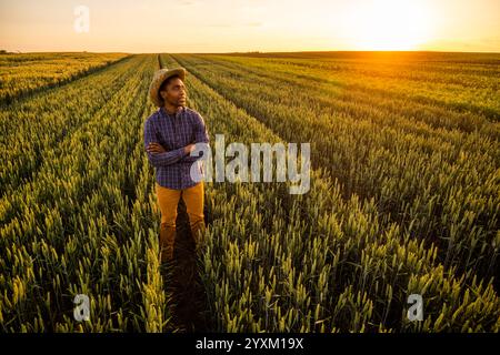 African farmer is standing in his growing wheat field. Successful farmer standing in agricultural field with arms crossed. Stock Photo