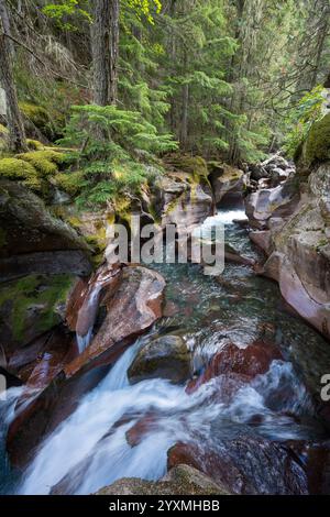 Canyon And Waterfalls Avalanche Creek Glacier National Park Montana canyon-and-waterfalls-avalanche-creek-glacier-national-park-montana