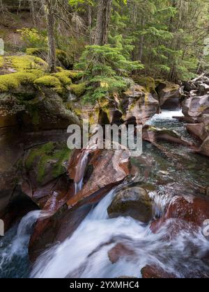 canyon-and-waterfalls-avalanche-creek-glacier-national-park-montana