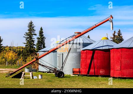 A red silo with a silver crane attached to it. The silo is next to a building and a few trees Stock Photo
