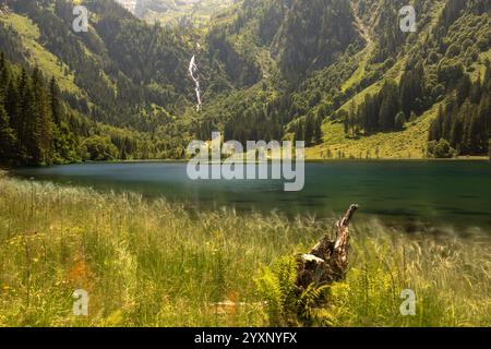 View over lake Steirischer Bodensee near Schladming, Styria, Austria Stock Photo