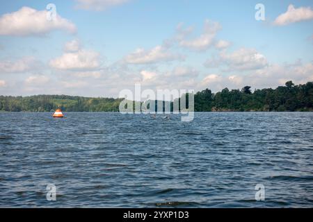 A large body of water with a red buoy floating on it. The water is calm and clear Stock Photo