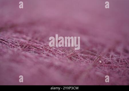 The image is of a close up of a pink fabric with a fuzzy texture. The fabric appears to be made of wool and has a slightly fuzzy appearance. Scene is Stock Photo
