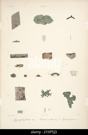 Historia fisica, politica y natural de la isla de Cuba, Paris, A ...